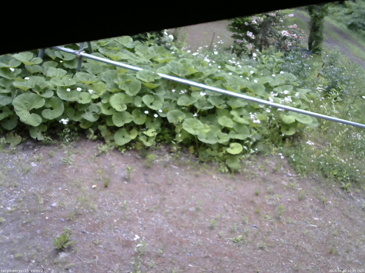 長野県菅平高原 ゆたか山荘 駐車場 2026/06/10 10:45