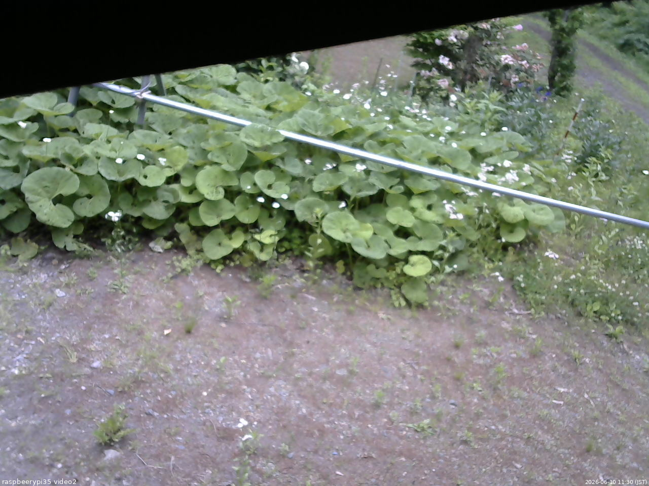 長野県菅平高原 ゆたか山荘 駐車場 2026/06/10 11:30