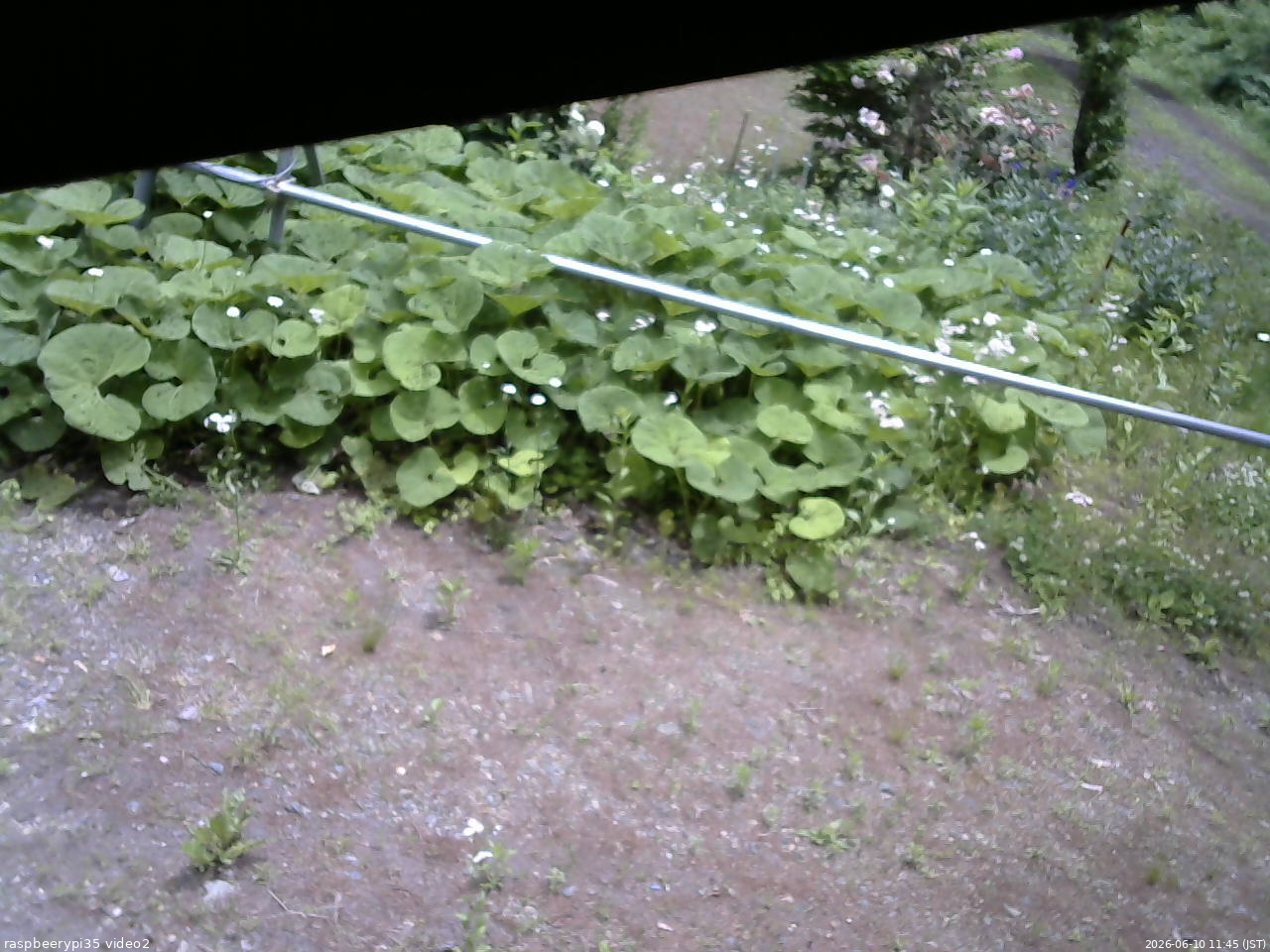 長野県菅平高原 ゆたか山荘 駐車場 2026/06/10 11:45