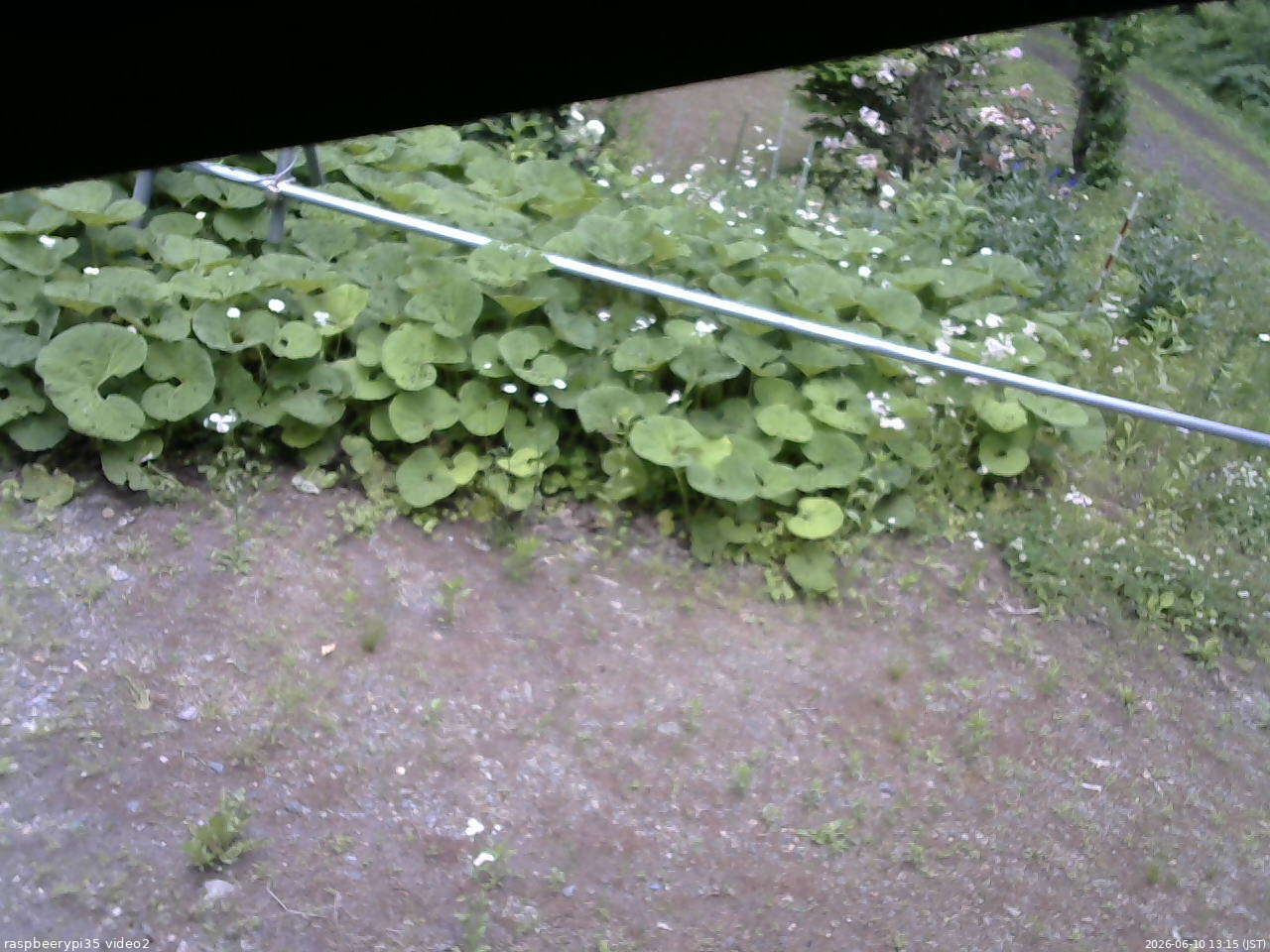 長野県菅平高原 ゆたか山荘 駐車場 2026/06/10 13:15