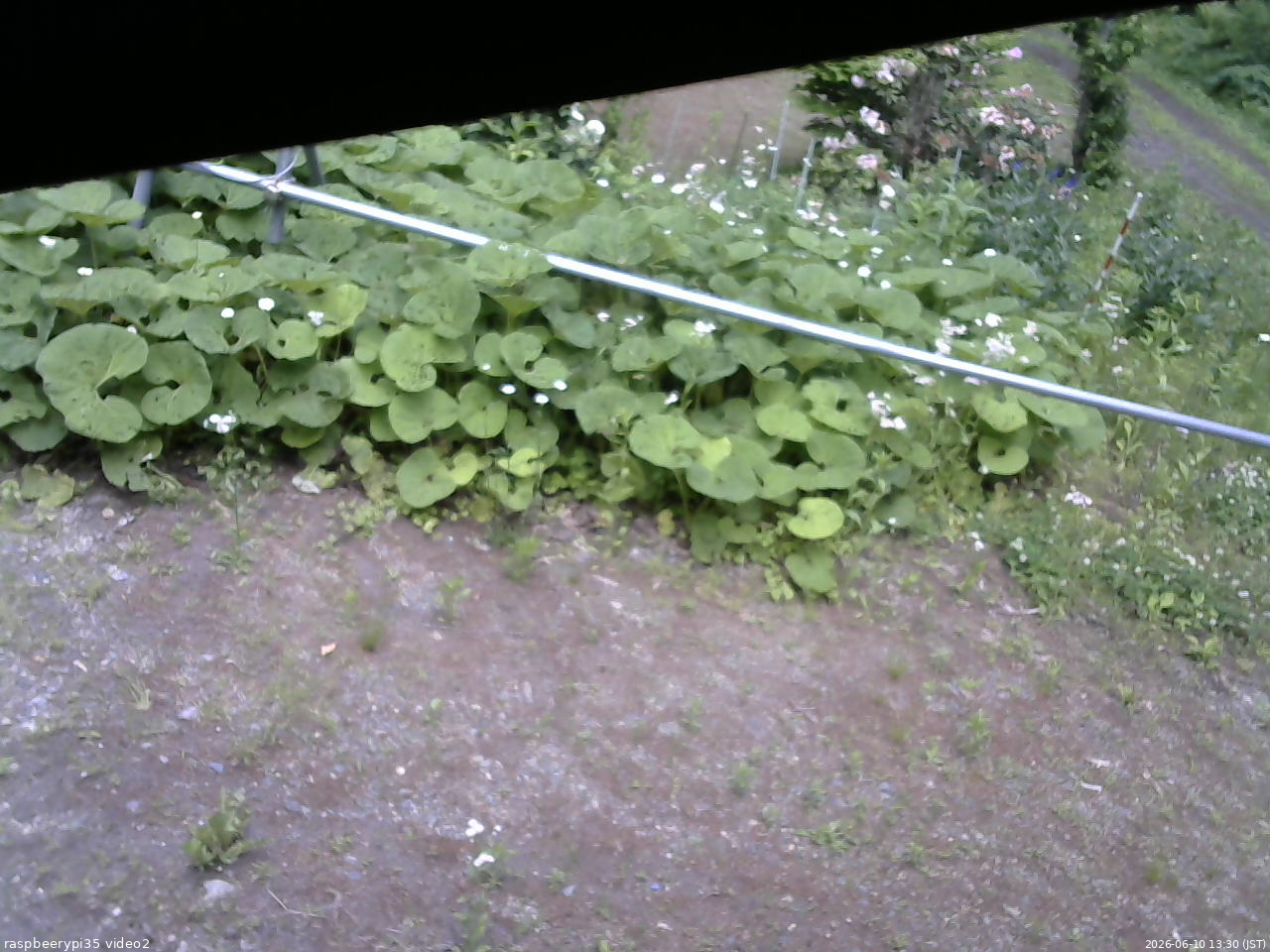 長野県菅平高原 ゆたか山荘 駐車場 2026/06/10 13:30