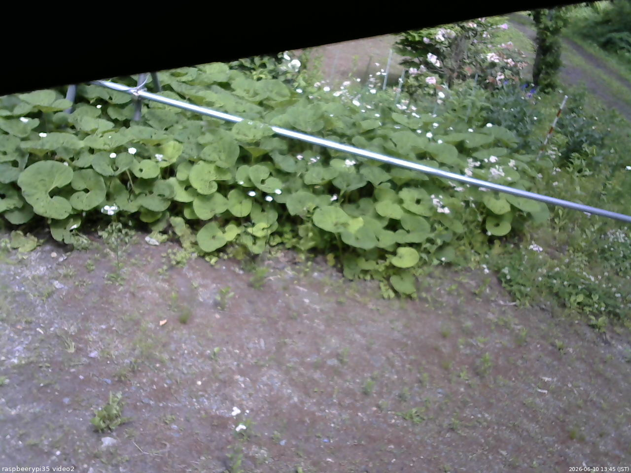 長野県菅平高原 ゆたか山荘 駐車場 2026/06/10 13:45