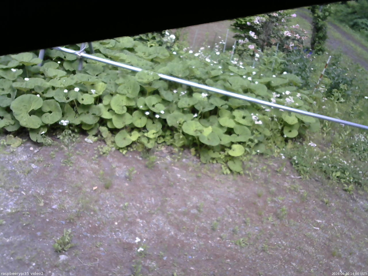 長野県菅平高原 ゆたか山荘 駐車場 2026/06/10 14:00