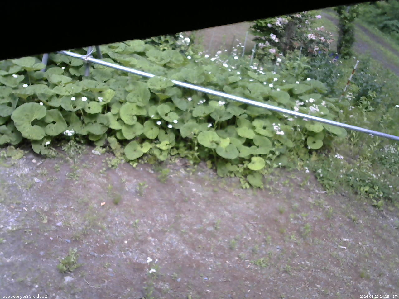 長野県菅平高原 ゆたか山荘 駐車場 2026/06/10 14:15