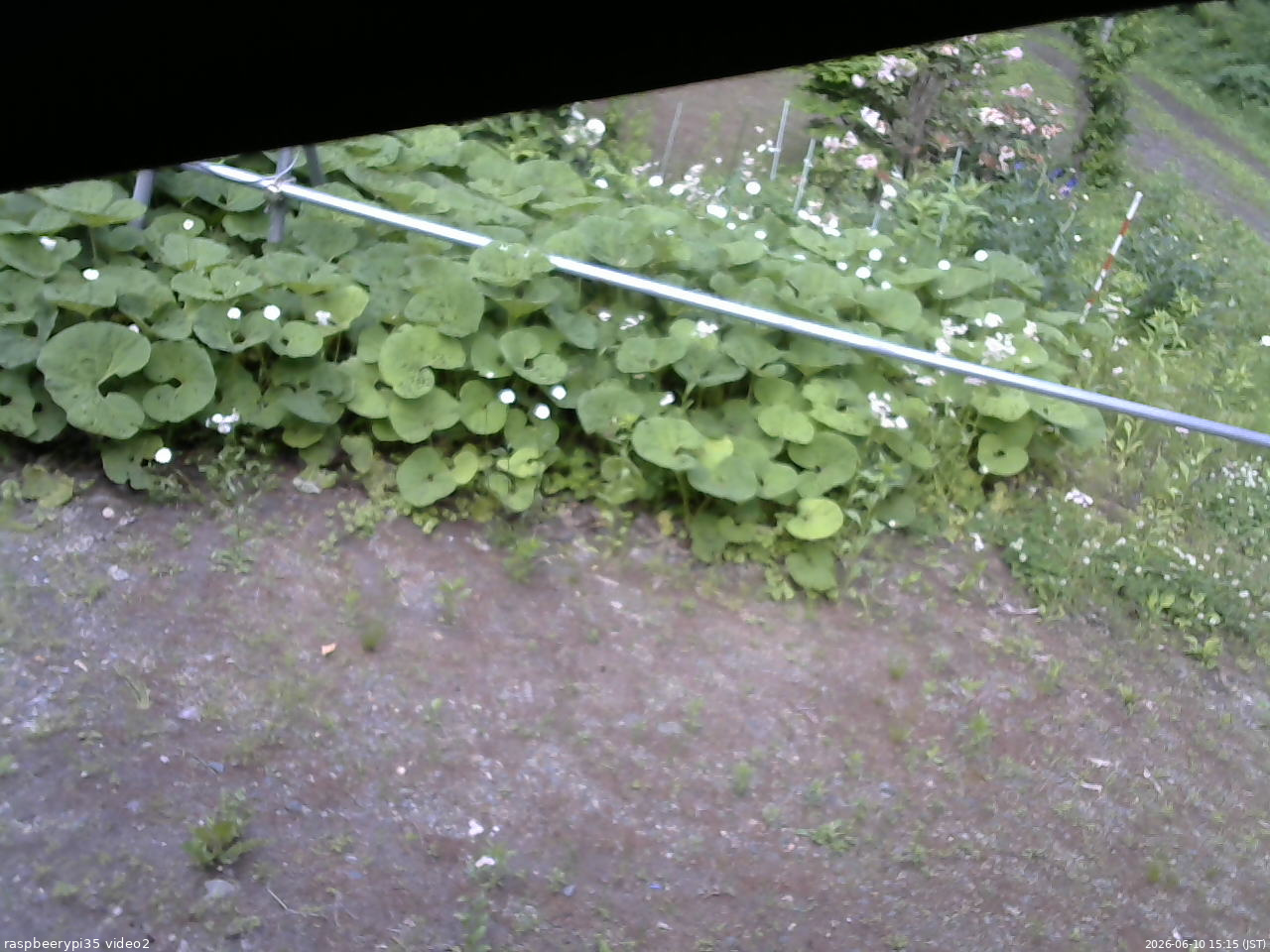 長野県菅平高原 ゆたか山荘 駐車場 2026/06/10 15:15