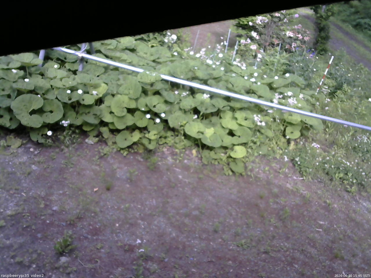 長野県菅平高原 ゆたか山荘 駐車場 2026/06/10 15:45