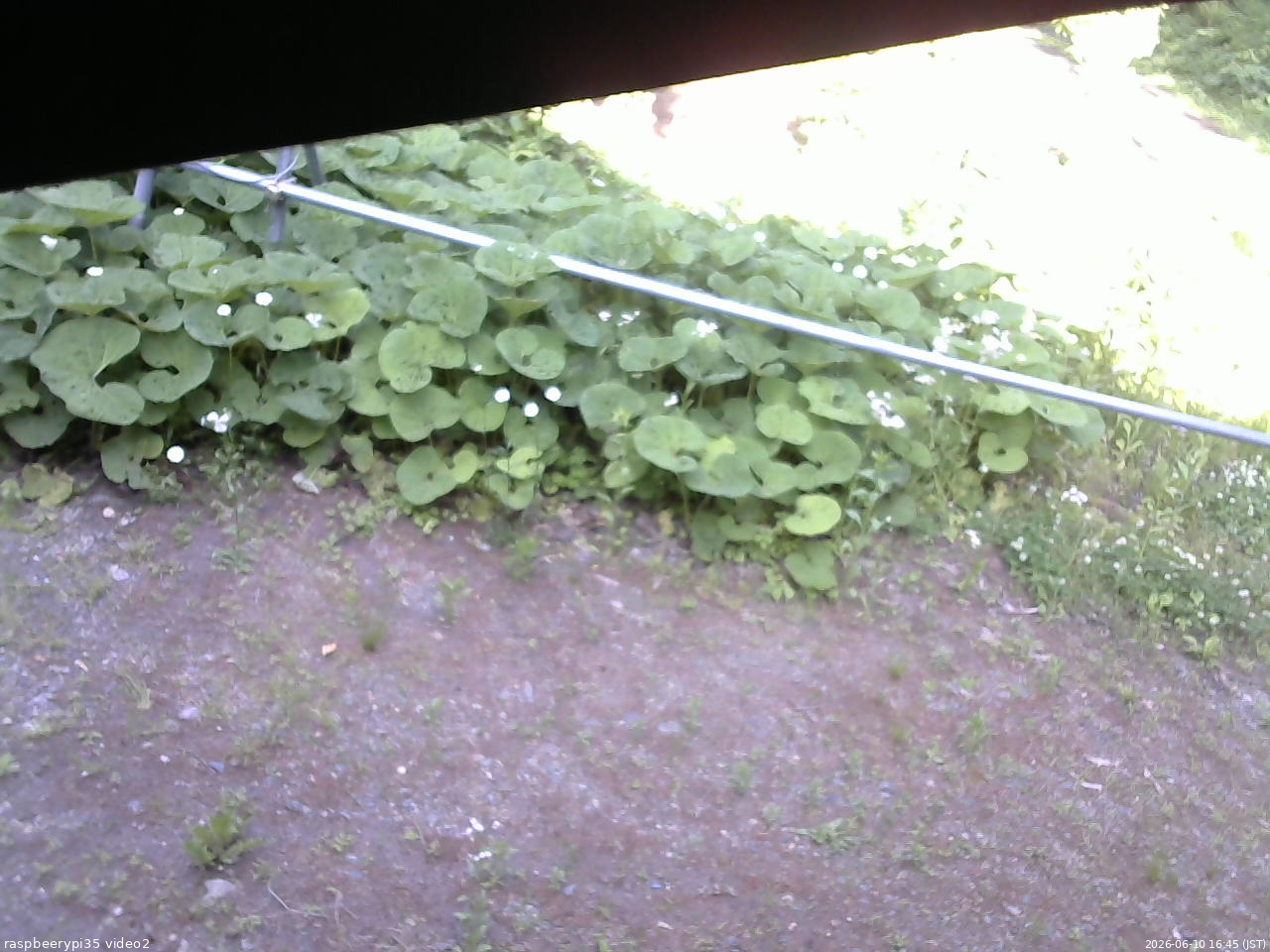 長野県菅平高原 ゆたか山荘 駐車場 2026/06/10 16:45