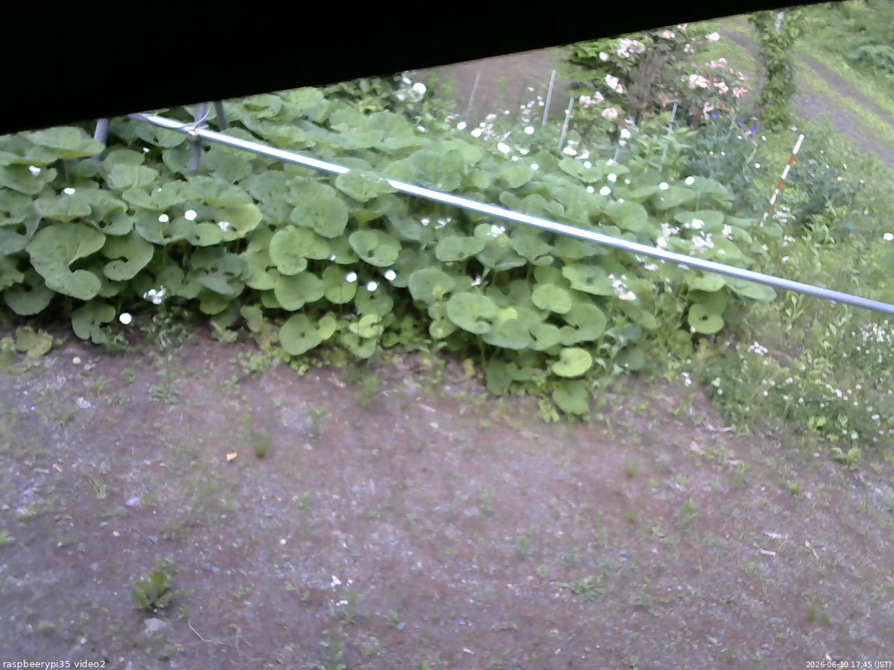 長野県菅平高原 ゆたか山荘 駐車場 2026/06/10 17:45