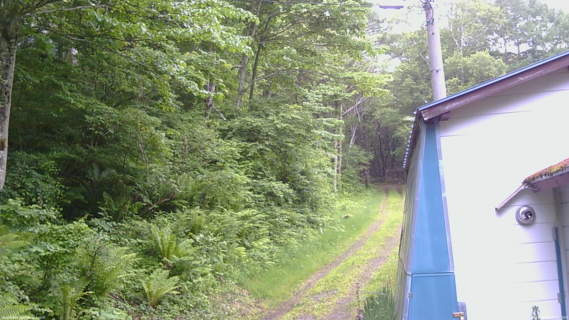長野県菅平高原 ゆたか山荘 ゆたか山荘 2026/06/10 05:45