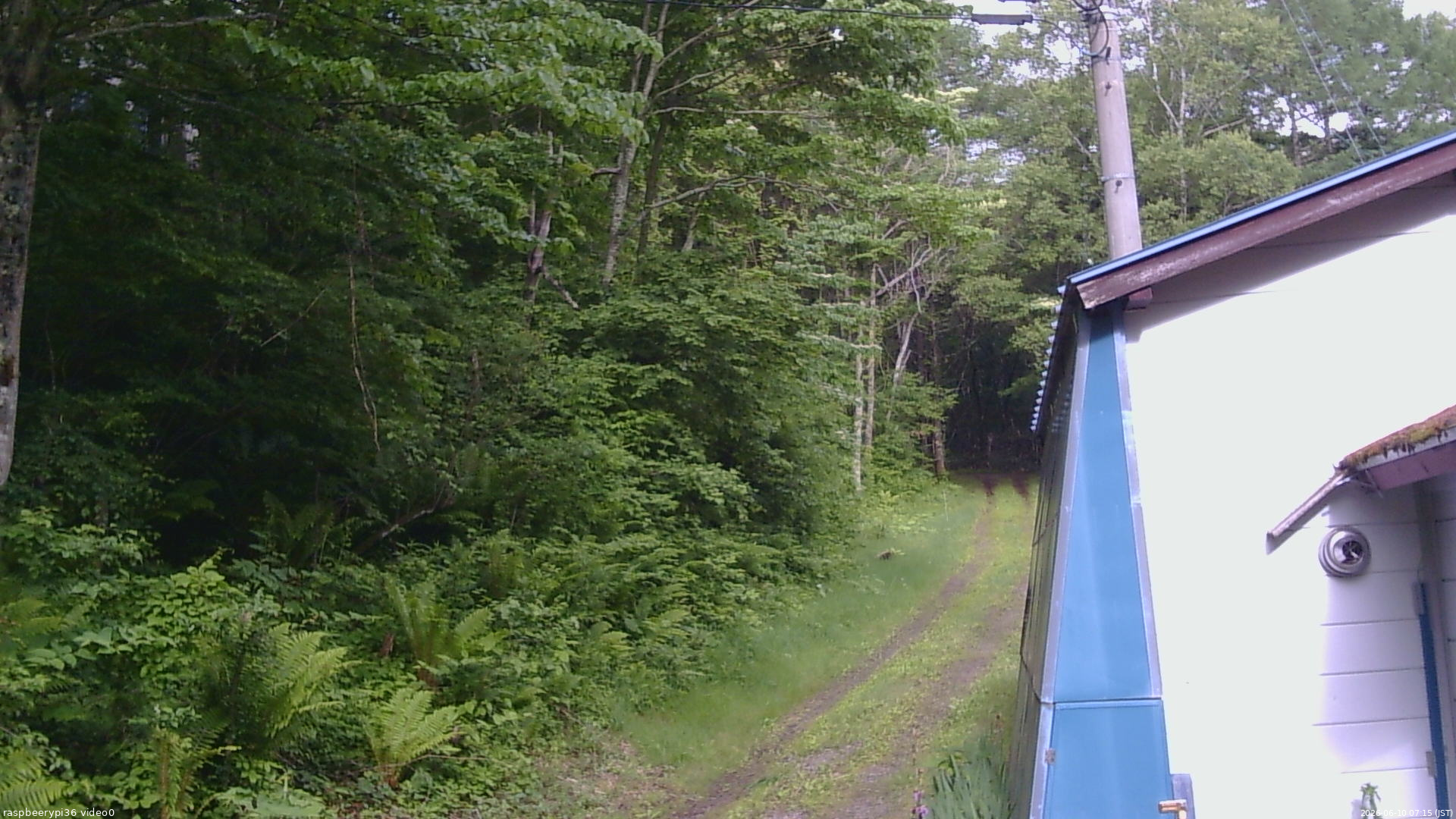 長野県菅平高原 ゆたか山荘 ゆたか山荘 2026/06/10 07:15