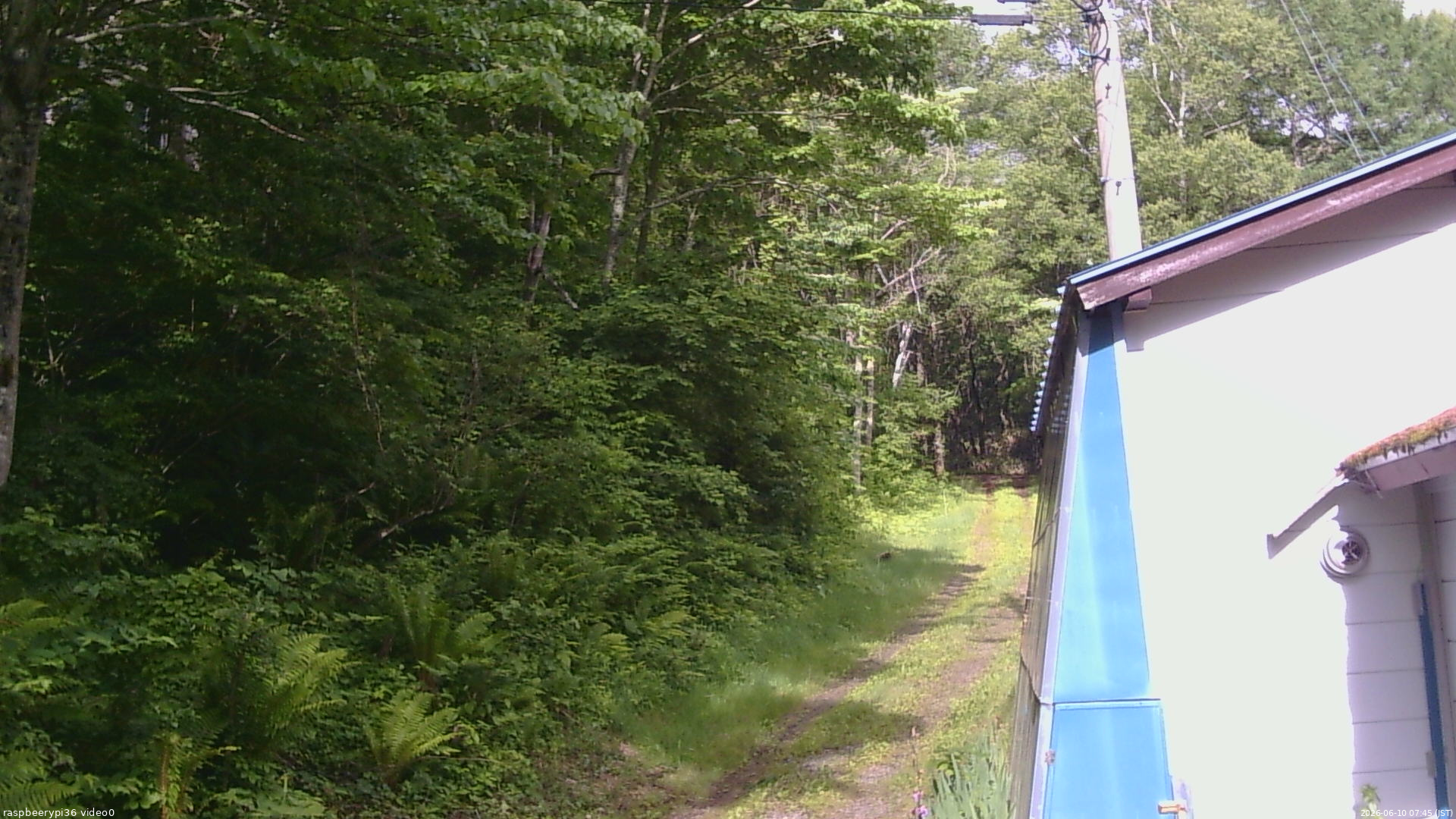 長野県菅平高原 ゆたか山荘 ゆたか山荘 2026/06/10 07:45
