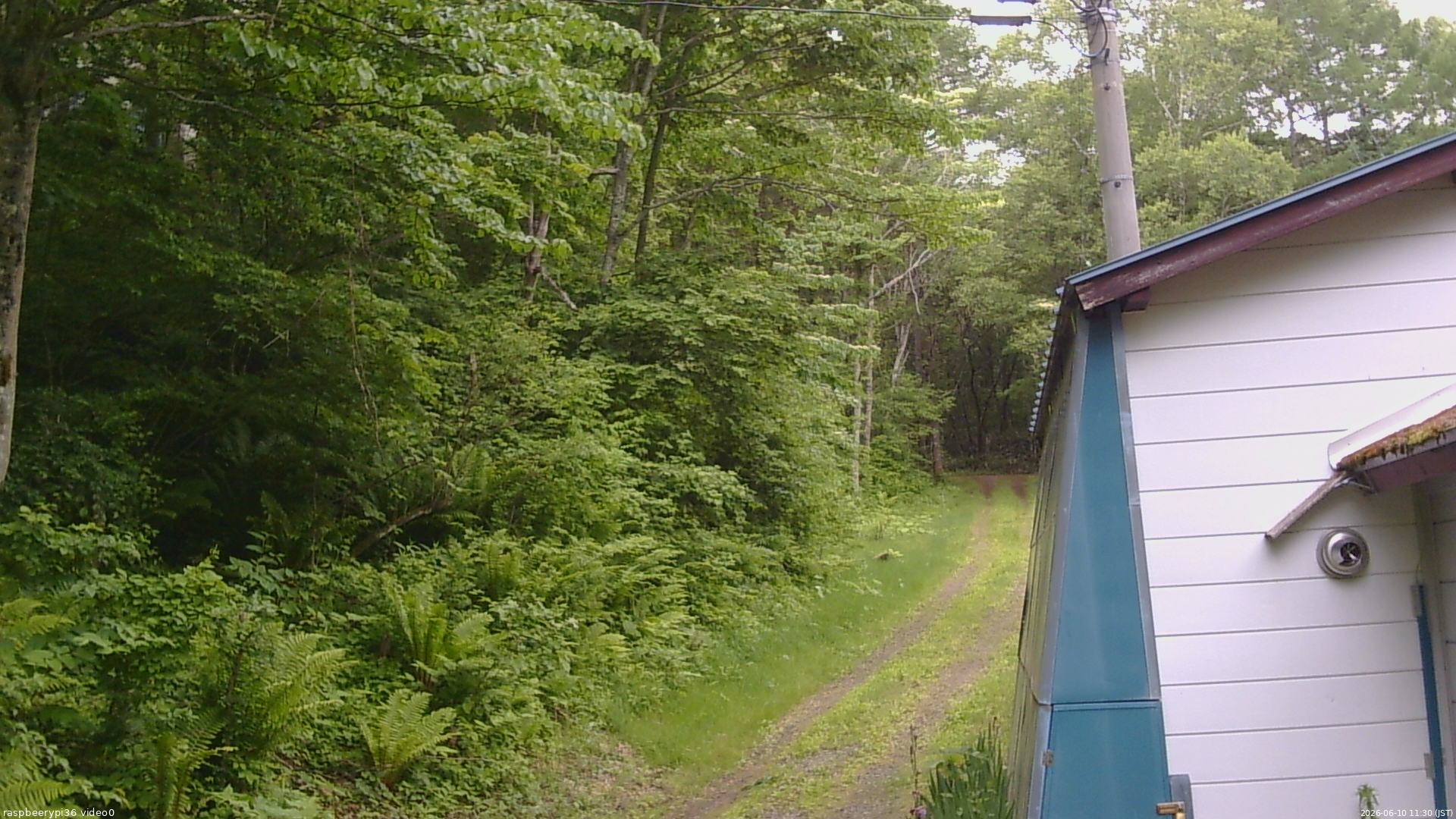 長野県菅平高原 ゆたか山荘 ゆたか山荘 2026/06/10 11:30
