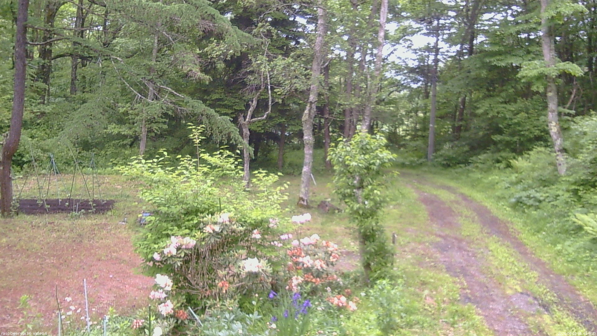 長野県菅平高原 ゆたか山荘 坂上 2026/06/10 05:45