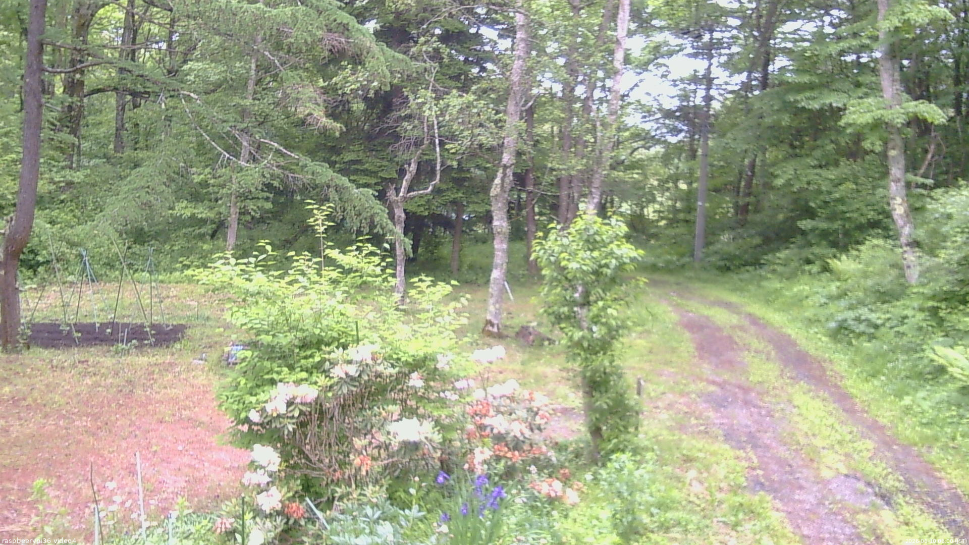 長野県菅平高原 ゆたか山荘 坂上 2026/06/10 06:00