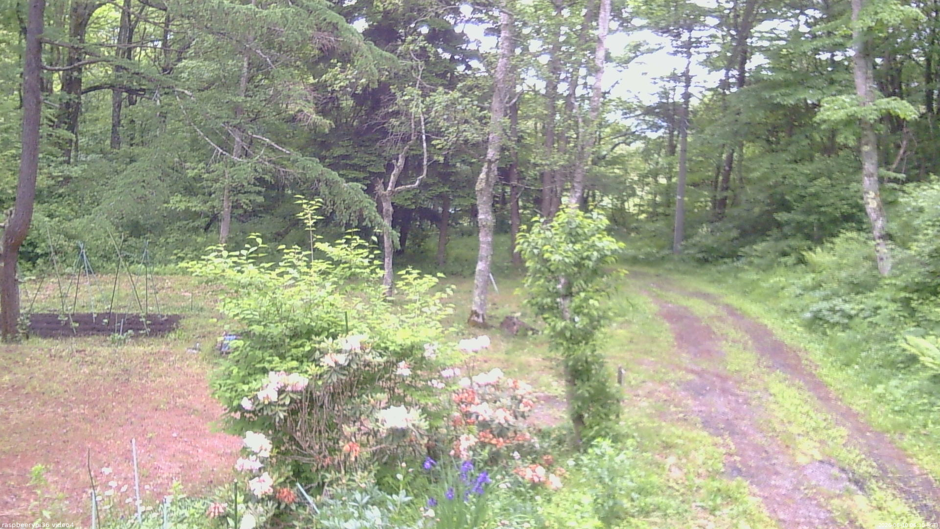 長野県菅平高原 ゆたか山荘 坂上 2026/06/10 06:30