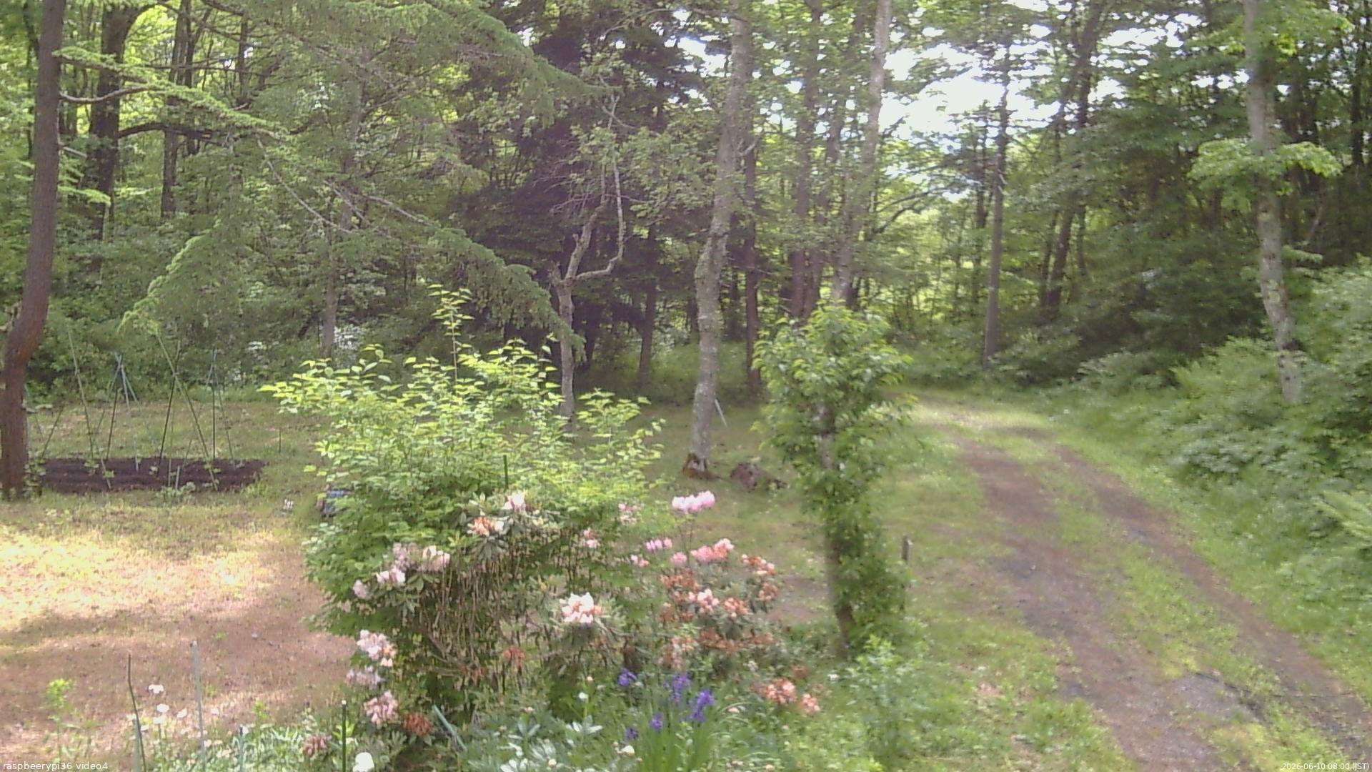 長野県菅平高原 ゆたか山荘 坂上 2026/06/10 08:00
