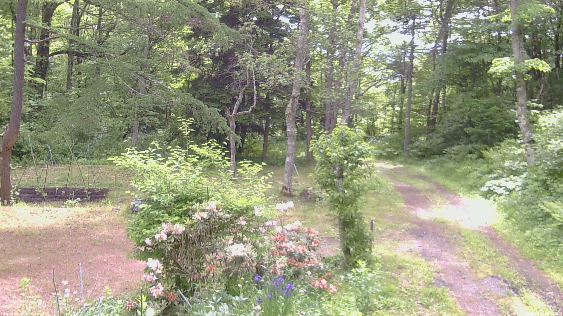 長野県菅平高原 ゆたか山荘 坂上 2026/06/10 09:00