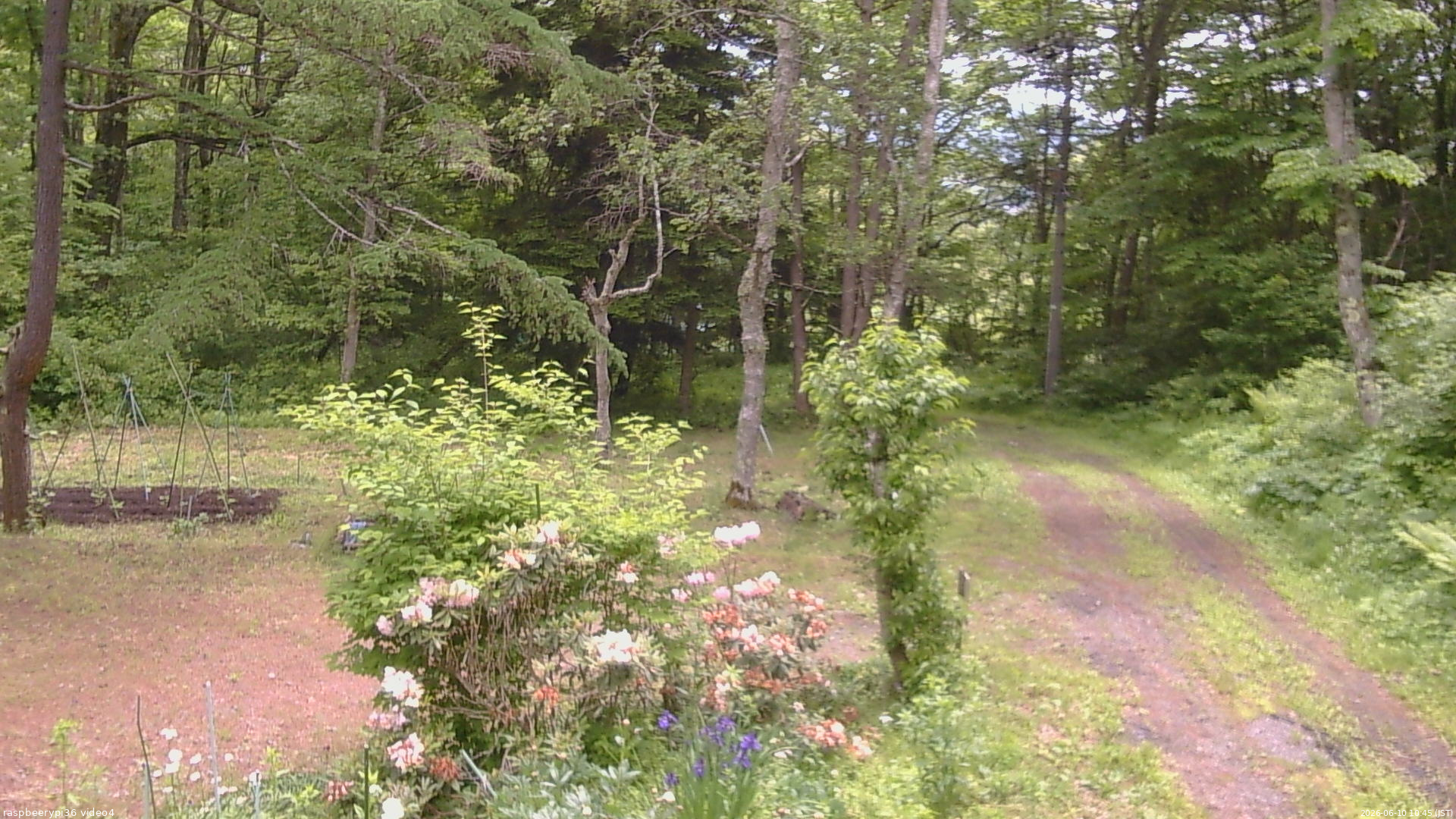 長野県菅平高原 ゆたか山荘 坂上 2026/06/10 10:45