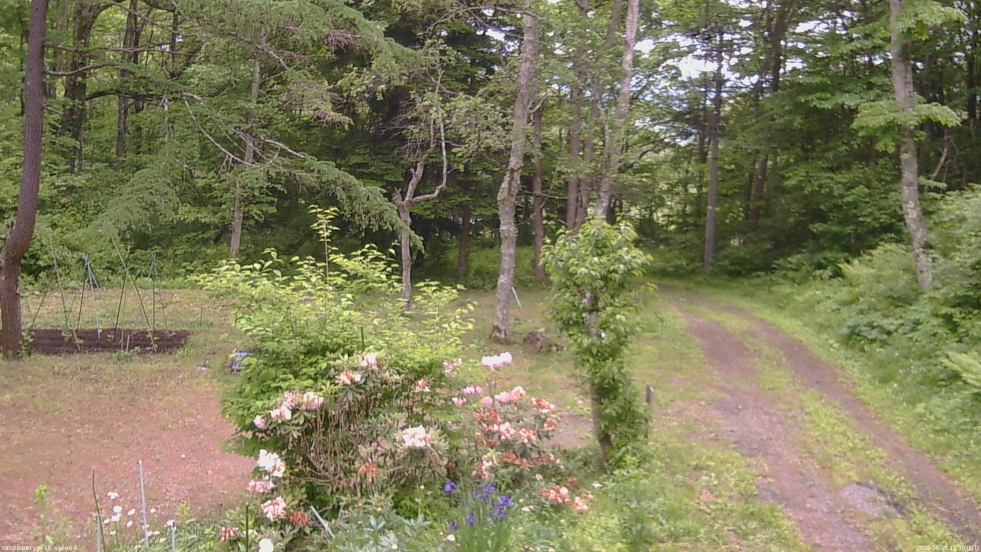 長野県菅平高原 ゆたか山荘 坂上 2026/06/10 11:30