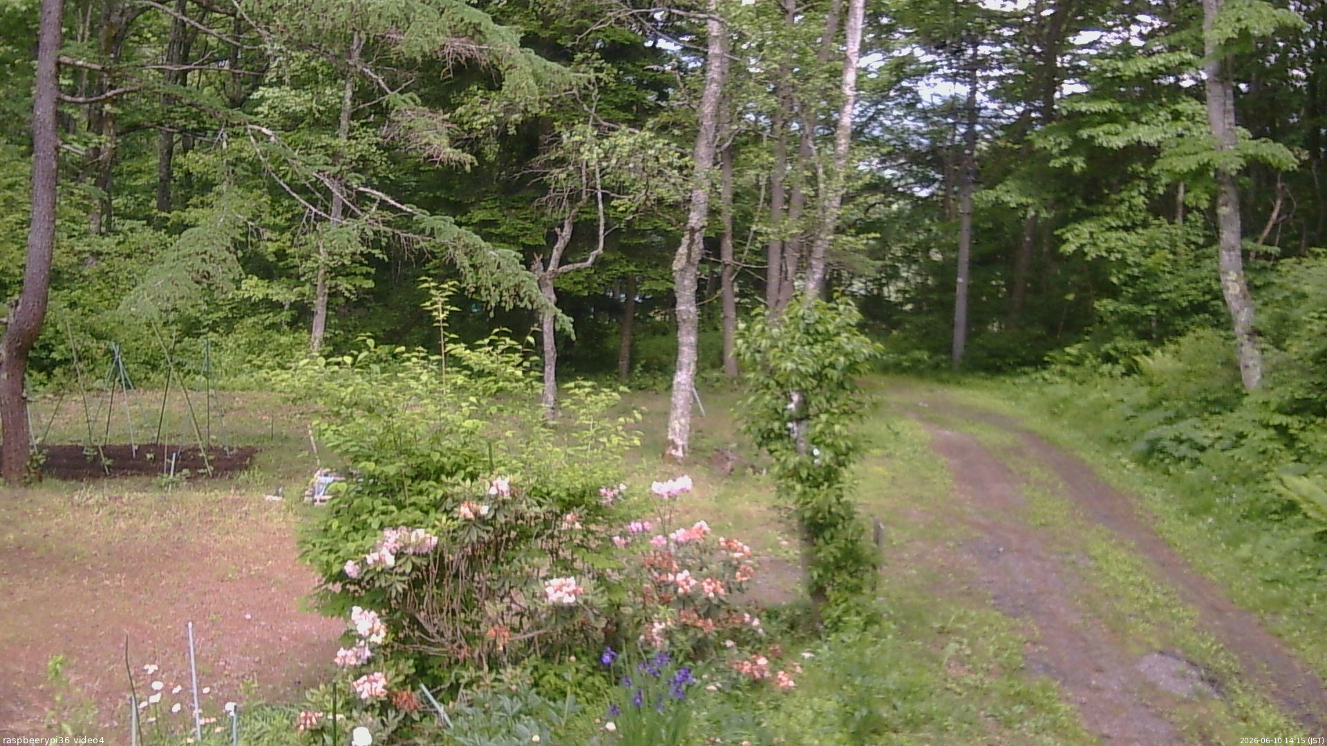 長野県菅平高原 ゆたか山荘 坂上 2026/06/10 14:15