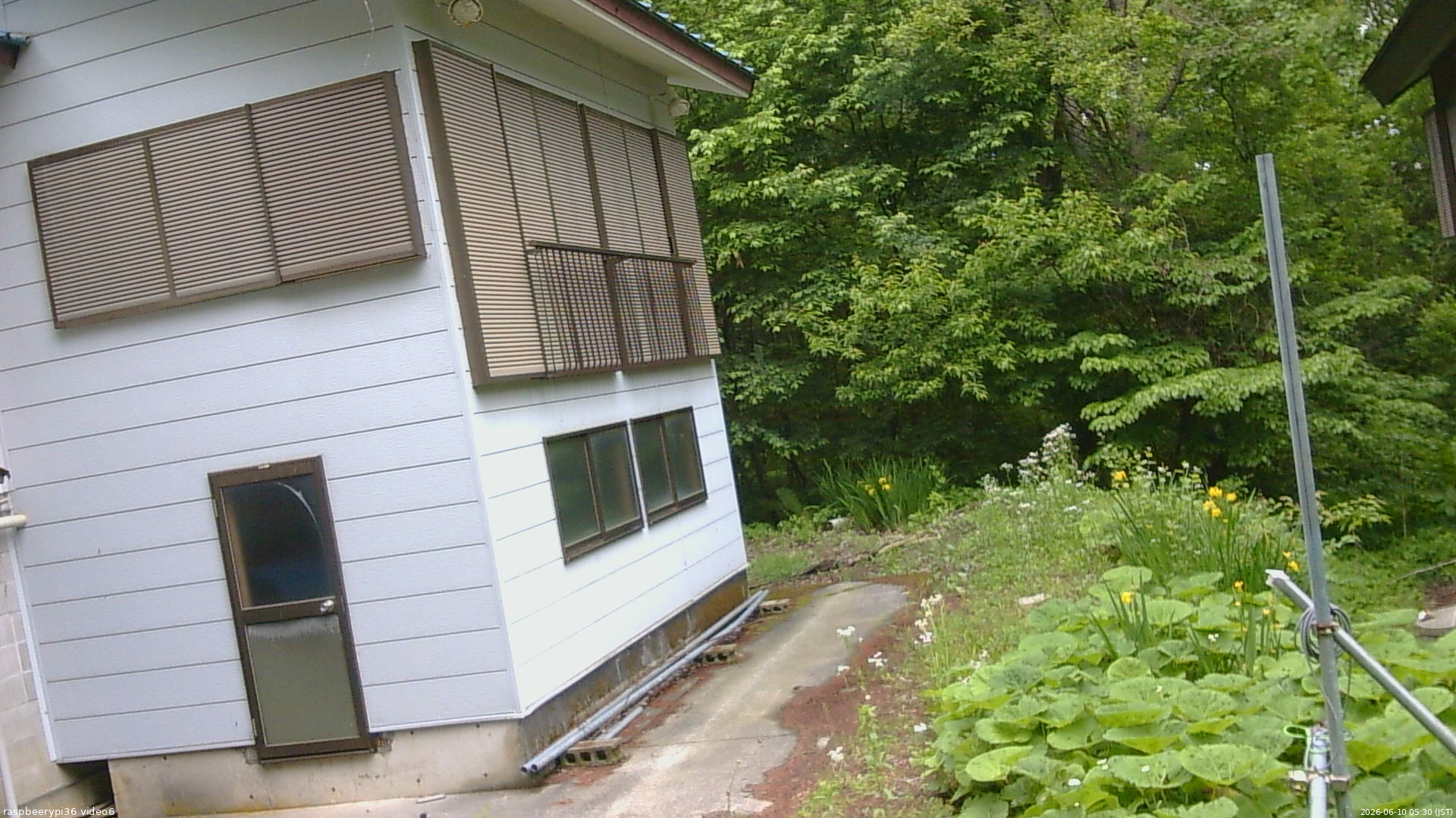 長野県菅平高原 ゆたか山荘 坂下 2026/06/10 05:30