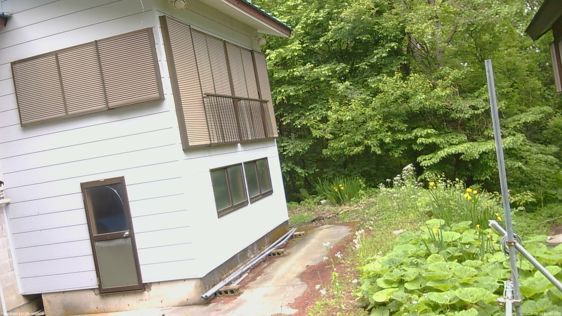 長野県菅平高原 ゆたか山荘 坂下 2026/06/10 06:00