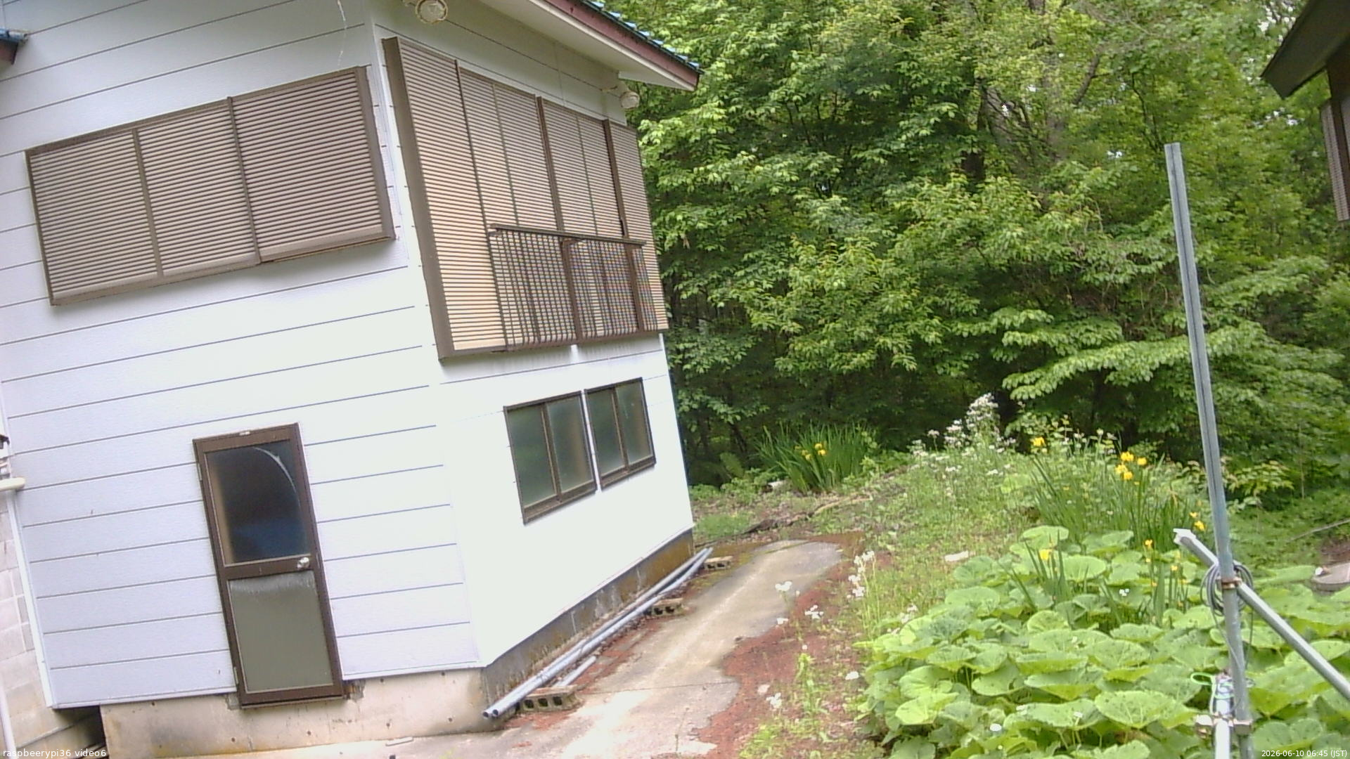 長野県菅平高原 ゆたか山荘 坂下 2026/06/10 06:45