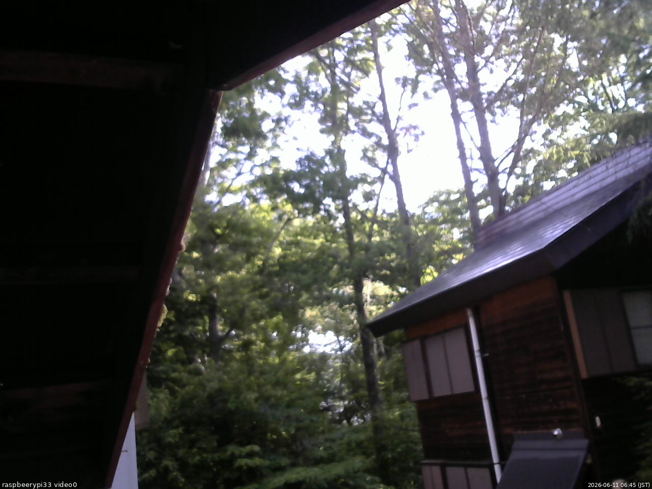 長野県菅平高原 ゆたか山荘 北側 2026/06/11 06:45