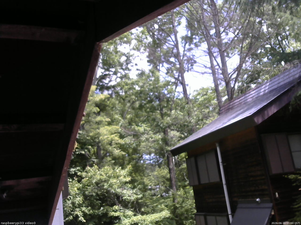 長野県菅平高原 ゆたか山荘 北側 2026/06/11 11:00