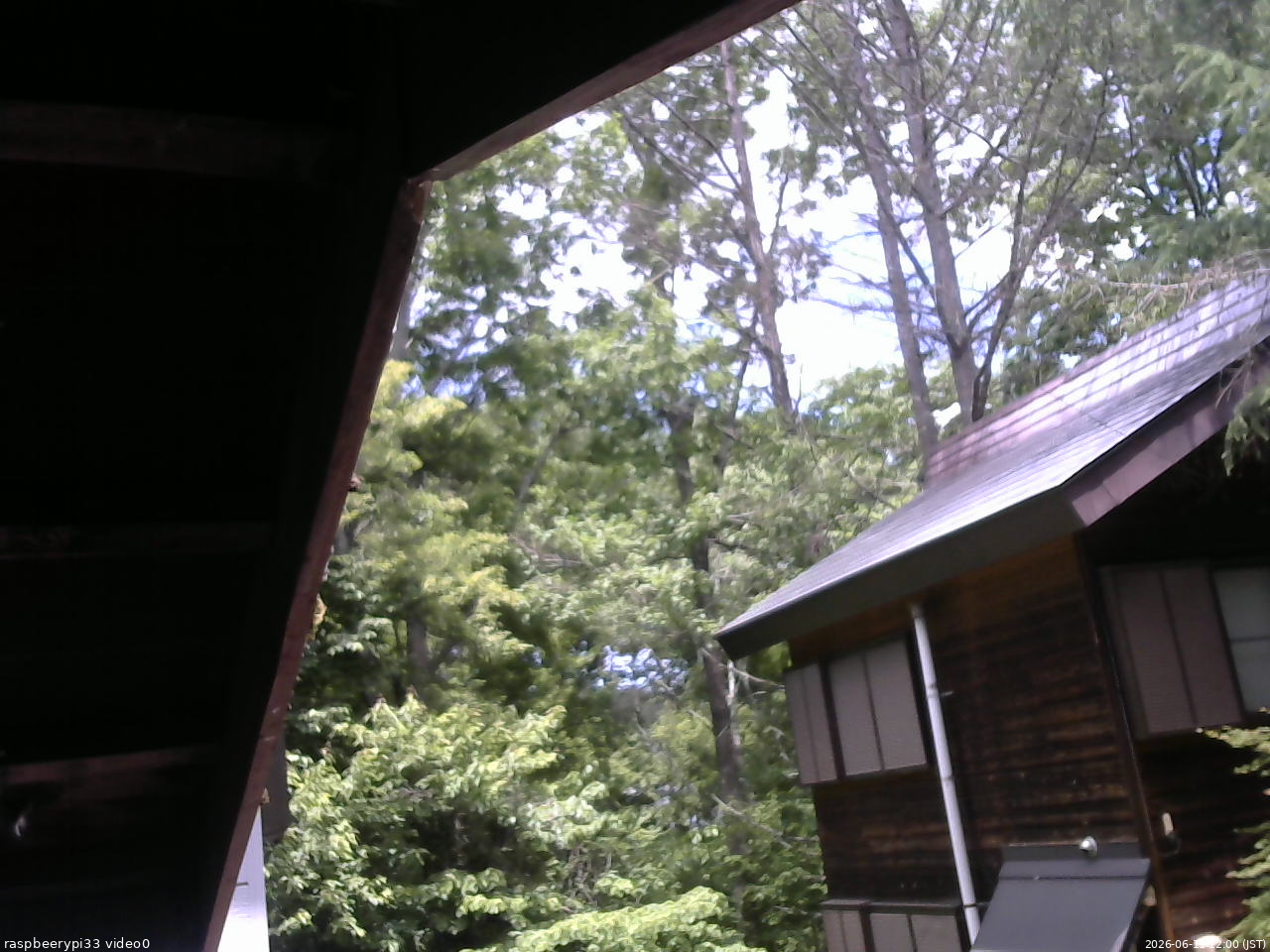 長野県菅平高原 ゆたか山荘 北側 2026/06/11 12:00