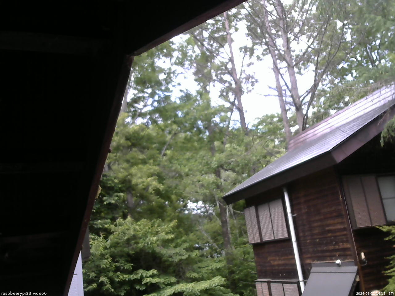 長野県菅平高原 ゆたか山荘 北側 2026/06/11 14:15
