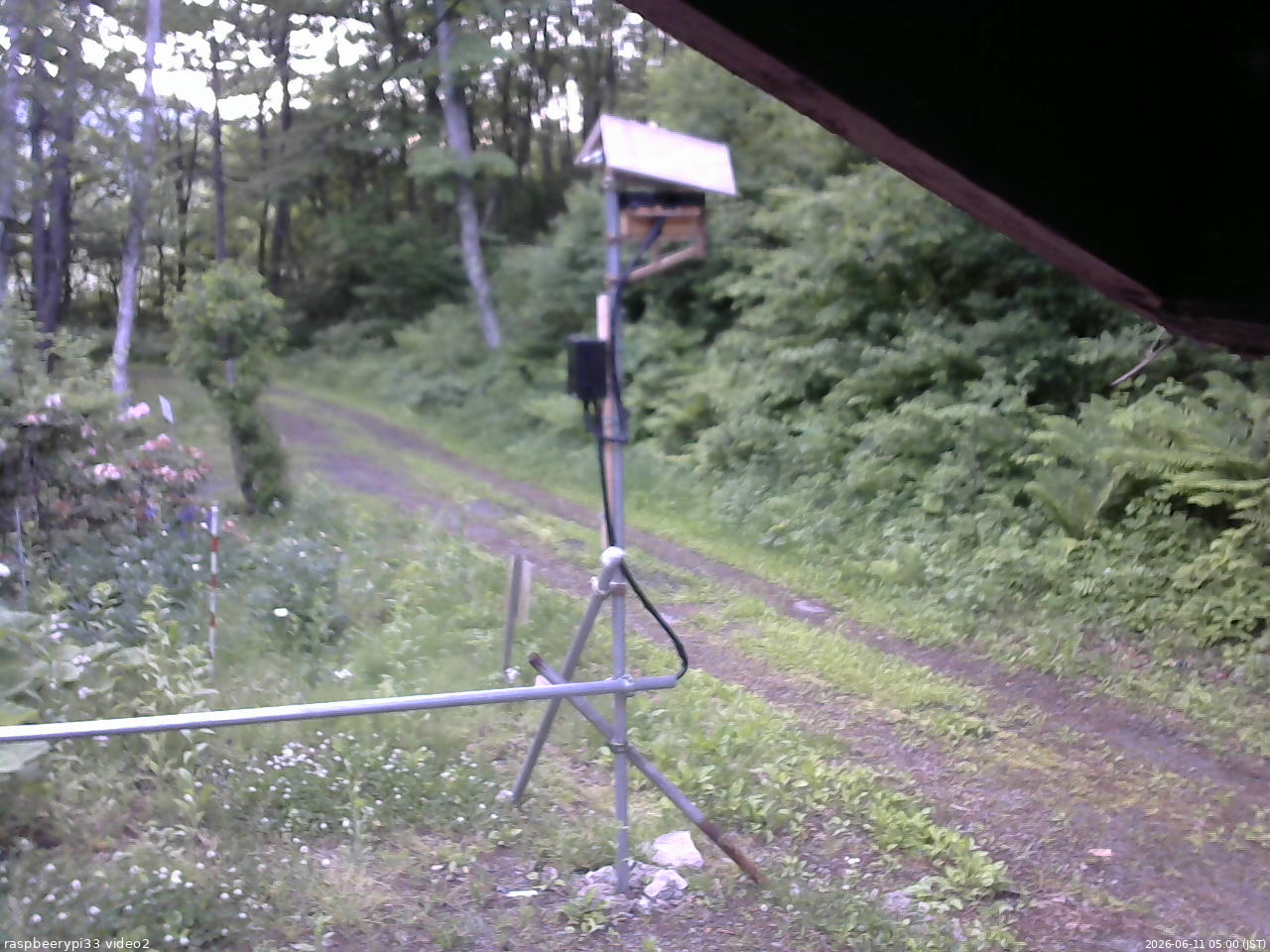 長野県菅平高原 ゆたか山荘 南側 2026/06/11 05:00