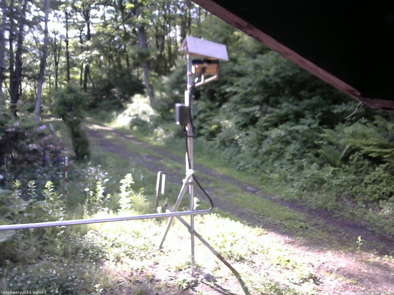 長野県菅平高原 ゆたか山荘 南側 2026/06/11 06:45