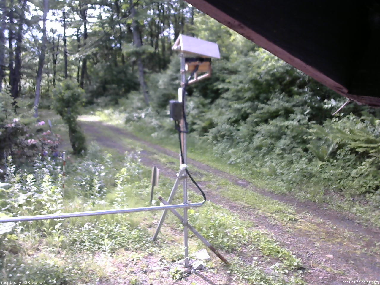 長野県菅平高原 ゆたか山荘 南側 2026/06/11 07:15