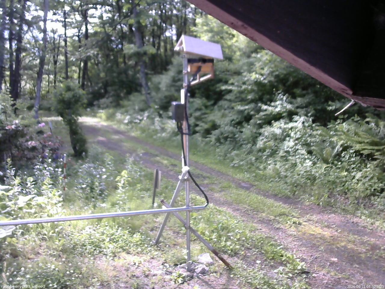長野県菅平高原 ゆたか山荘 南側 2026/06/11 07:30