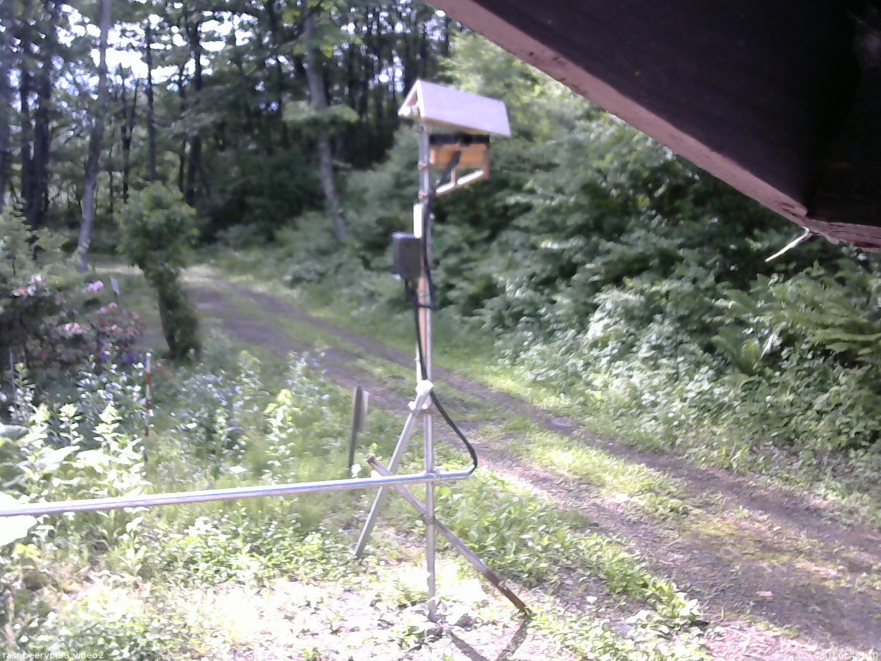 長野県菅平高原 ゆたか山荘 南側 2026/06/11 07:45