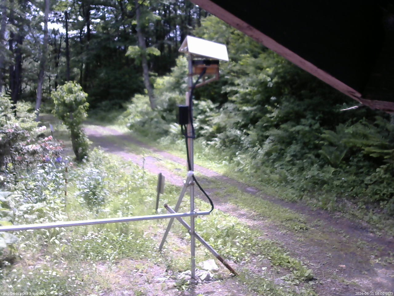 長野県菅平高原 ゆたか山荘 南側 2026/06/11 10:00