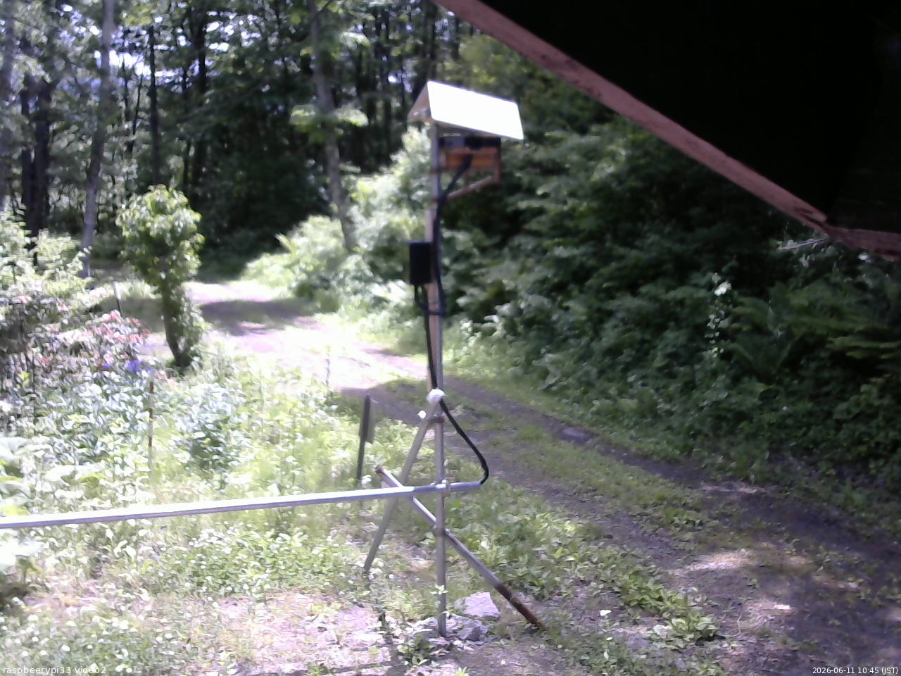長野県菅平高原 ゆたか山荘 南側 2026/06/11 10:45
