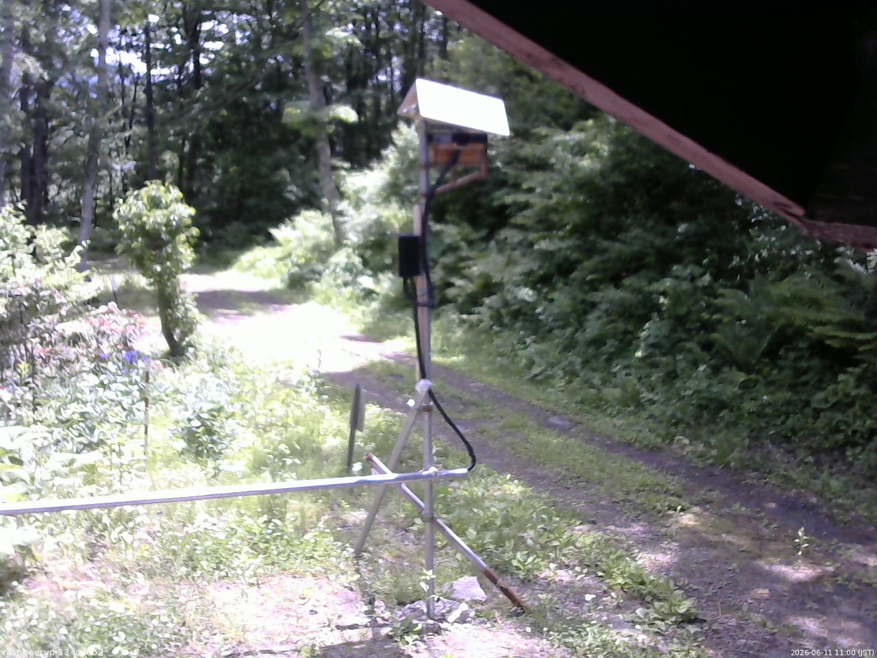 長野県菅平高原 ゆたか山荘 南側 2026/06/11 11:00
