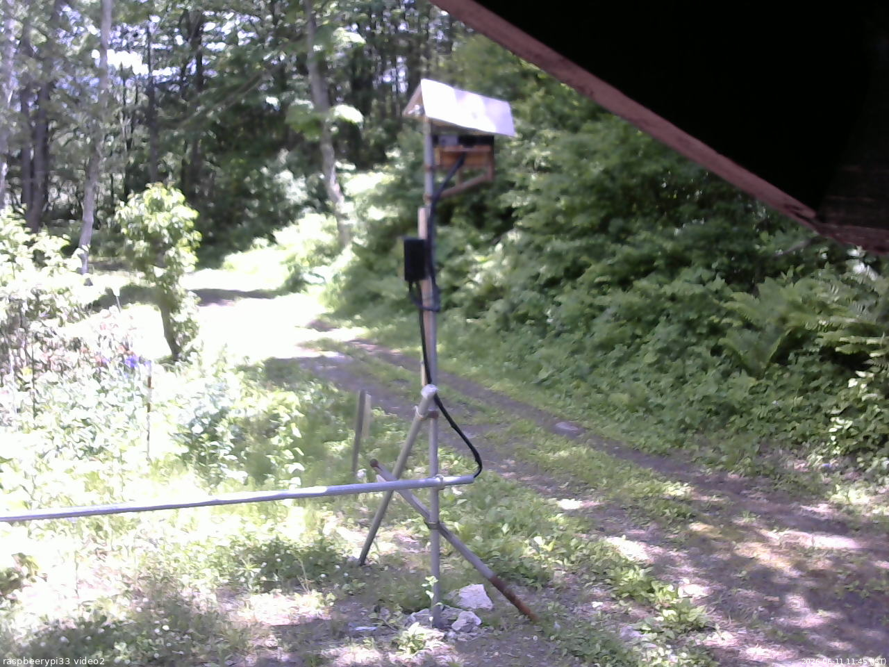 長野県菅平高原 ゆたか山荘 南側 2026/06/11 11:45