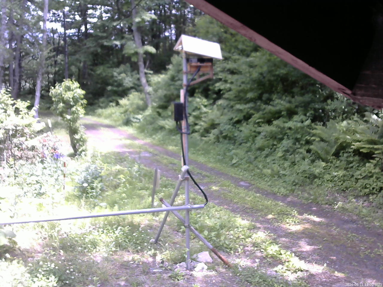 長野県菅平高原 ゆたか山荘 南側 2026/06/11 12:00