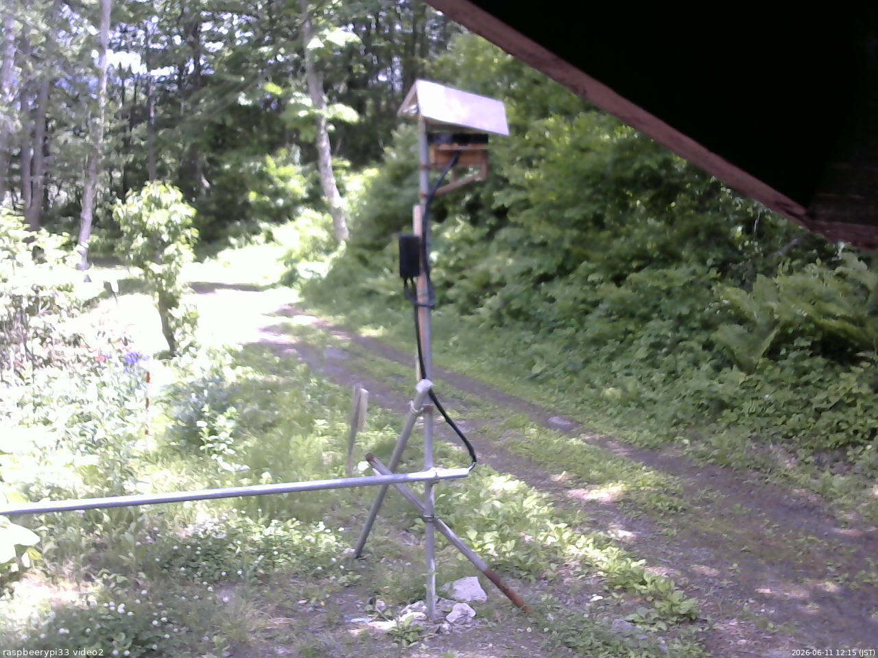 長野県菅平高原 ゆたか山荘 南側 2026/06/11 12:15