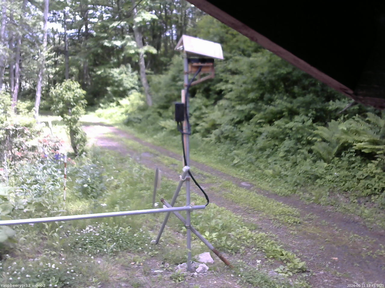 長野県菅平高原 ゆたか山荘 南側 2026/06/11 12:45
