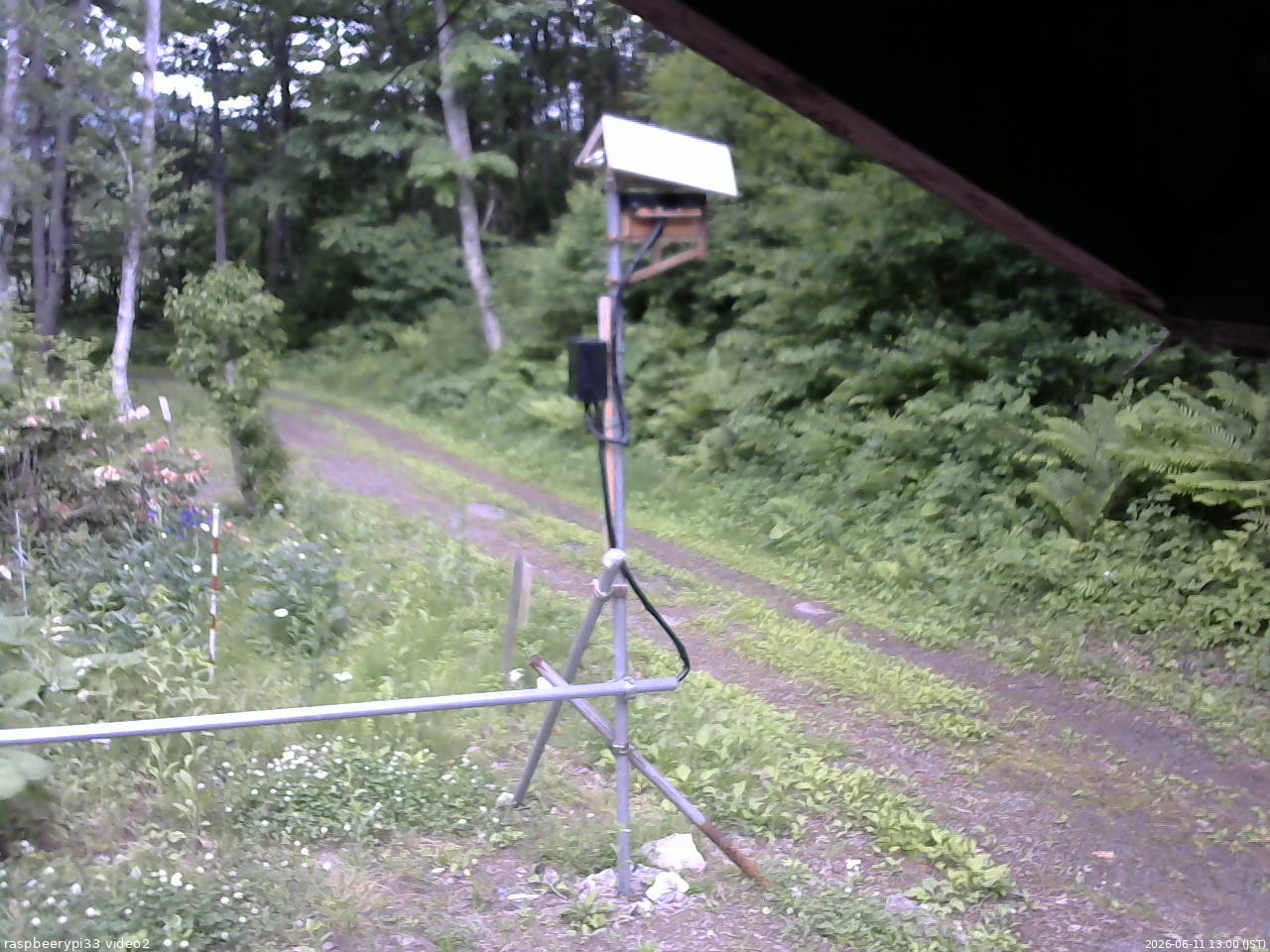 長野県菅平高原 ゆたか山荘 南側 2026/06/11 13:00