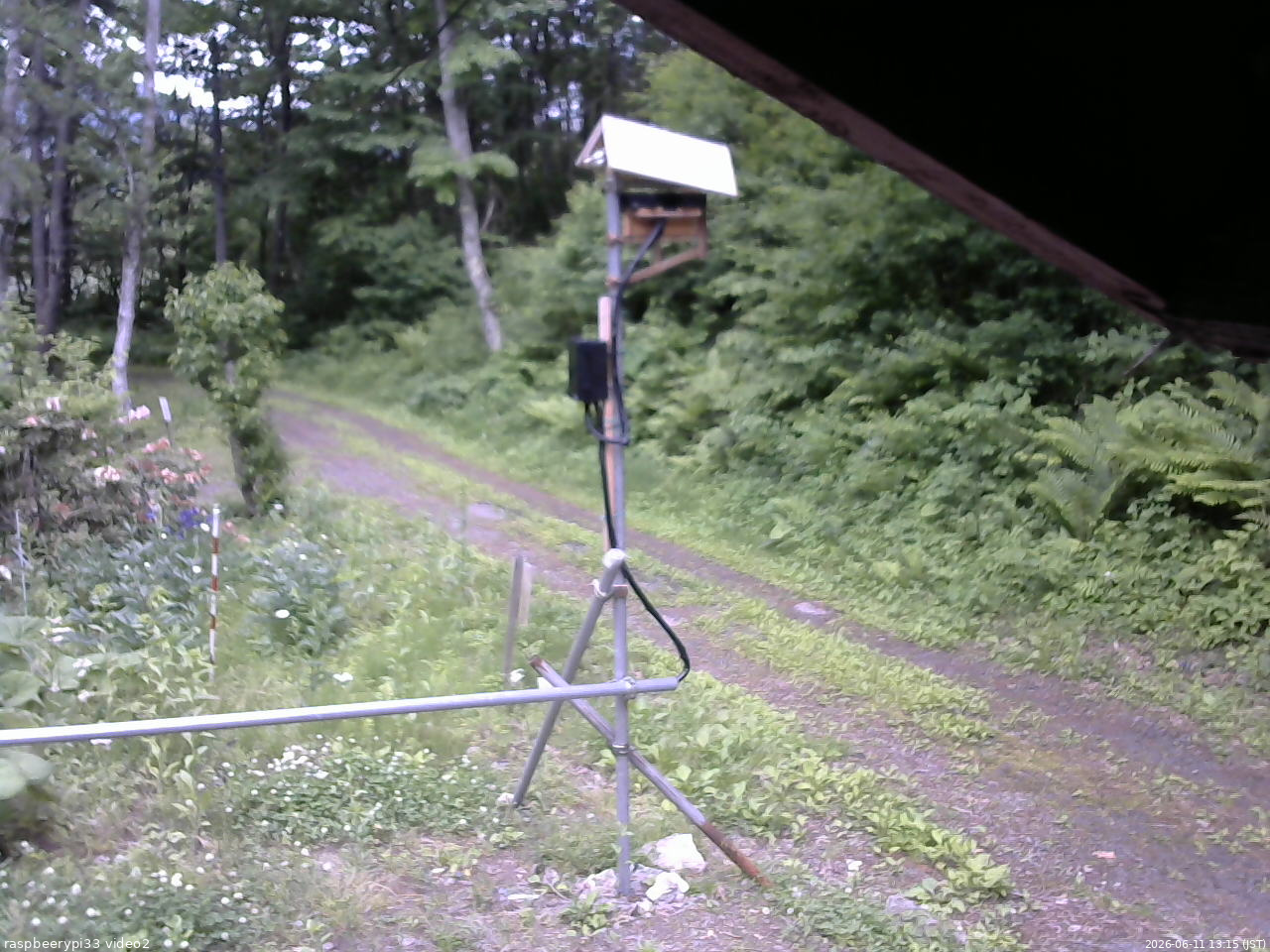 長野県菅平高原 ゆたか山荘 南側 2026/06/11 13:15