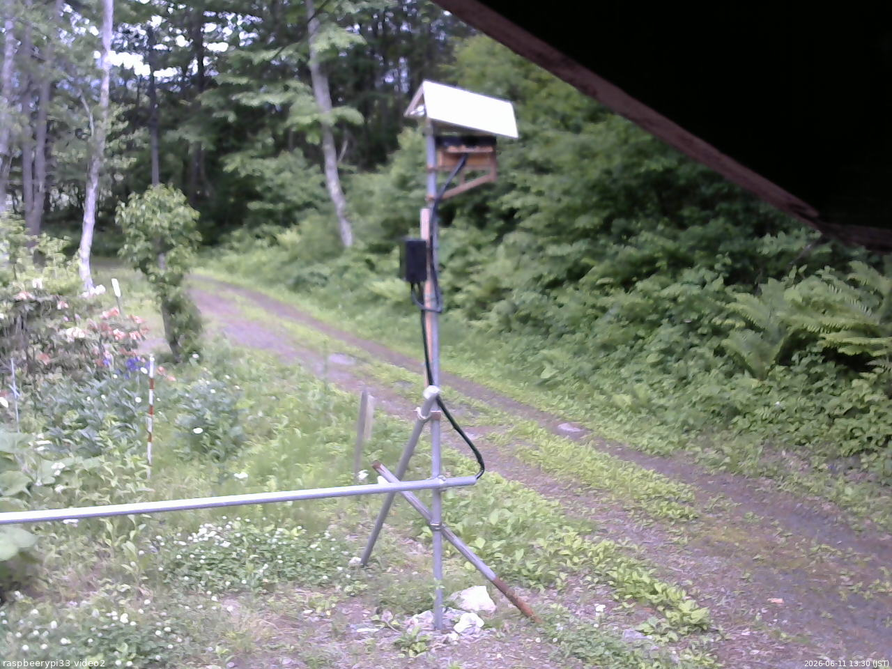 長野県菅平高原 ゆたか山荘 南側 2026/06/11 13:30