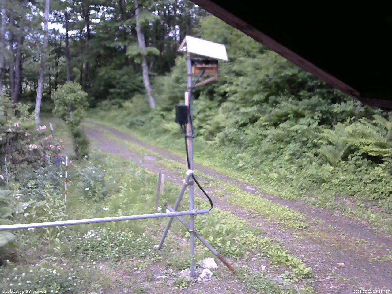 長野県菅平高原 ゆたか山荘 南側 2026/06/11 13:45