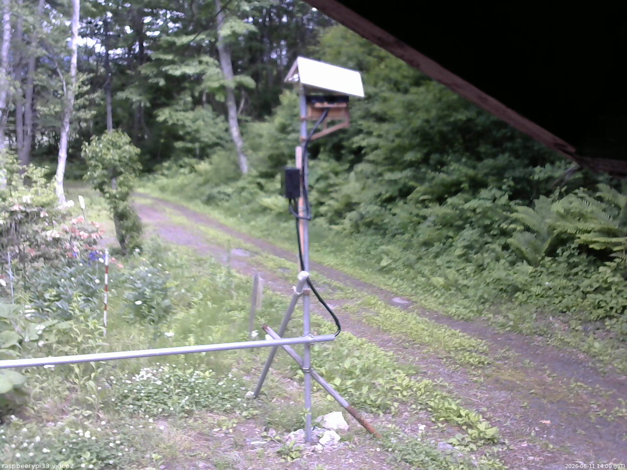 長野県菅平高原 ゆたか山荘 南側 2026/06/11 14:00