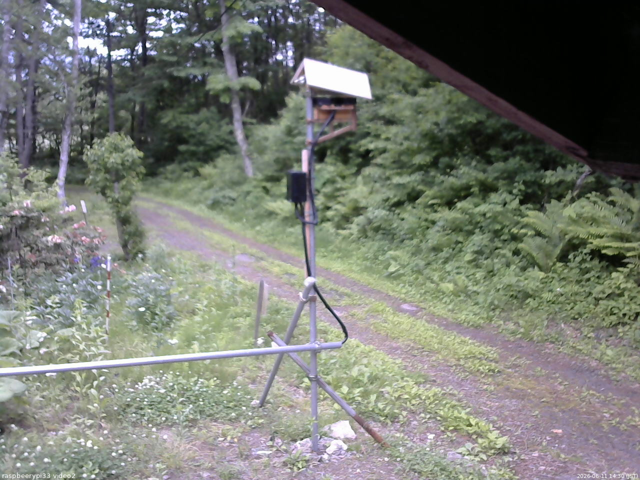 長野県菅平高原 ゆたか山荘 南側 2026/06/11 14:30