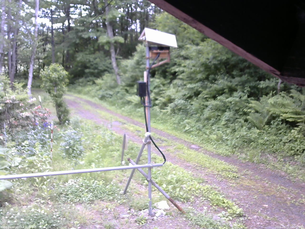 長野県菅平高原 ゆたか山荘 南側 2026/06/11 14:45